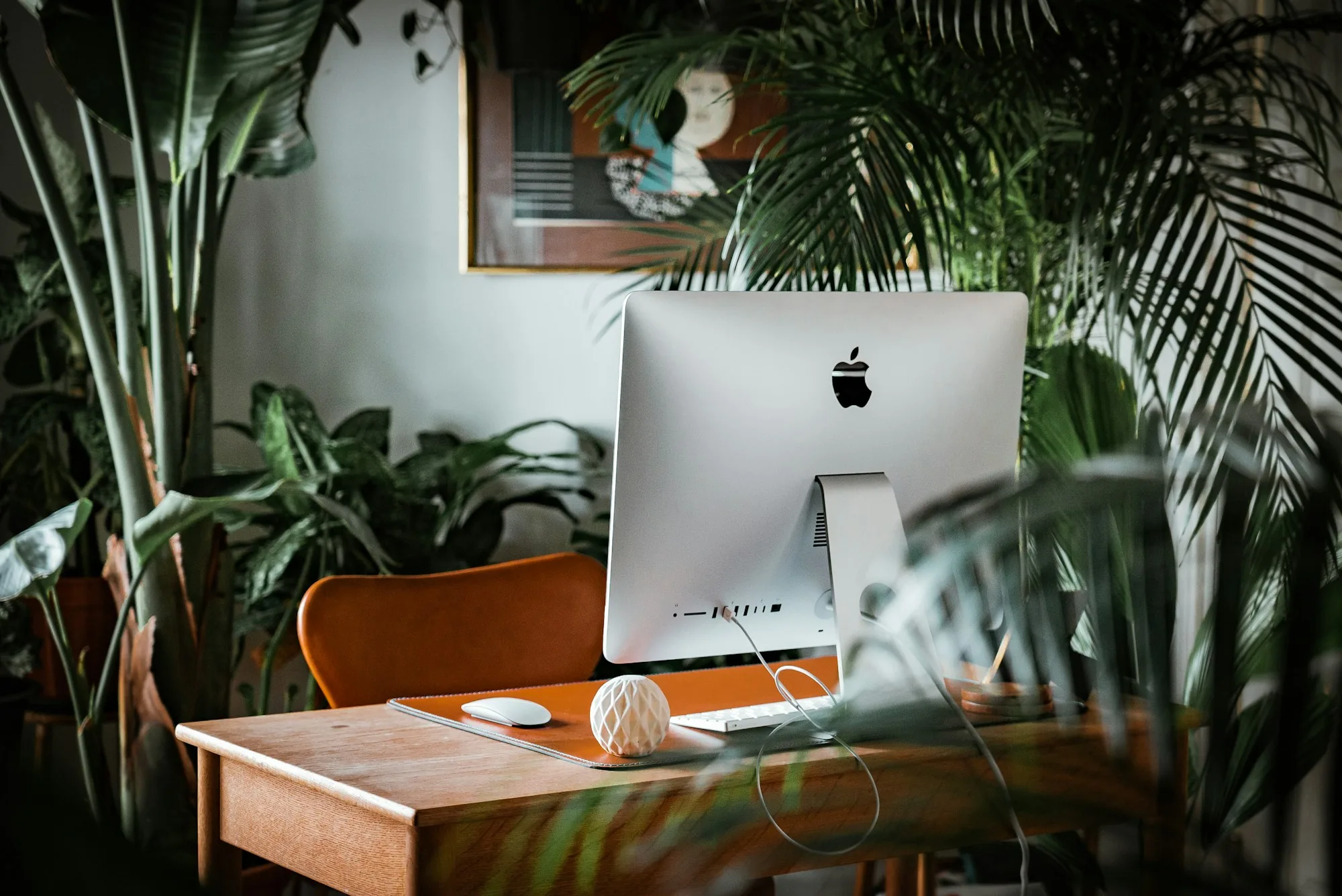The back of a Mac on a wooden desk surrounded by plants, Apple logo visible